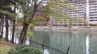 縮景園の池の水