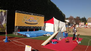 黄葉の時期のお祭り