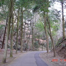 小木津山自然公園の風景