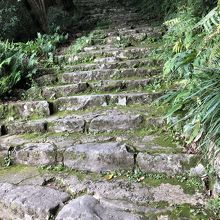 天守まで続く石段は現在するものなので歩きやすい靴が良いです。