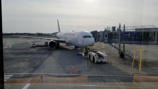 まだまだ改装中