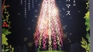 コンサートもやってます