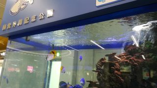 市内へのアクセスが近くて便利