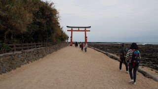 まるでジャングルといった風情を感じる『青島神社』
