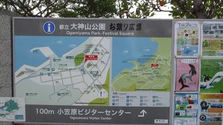 大神山公園は、丘陵地の大神山地区と、二見港に面した平坦地である大村中央地区に分かれています。