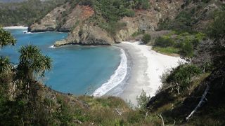 上から見ると小笠原の海の透明度の高さがよくわかりました。