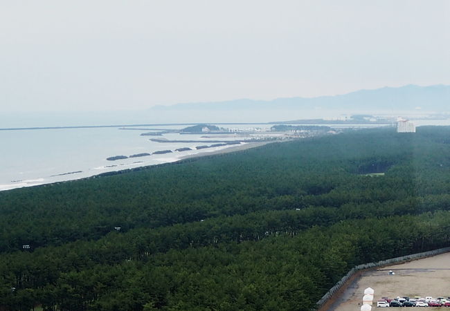 一ツ葉有料道路の先に広がっている海岸