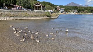 湖畔でのんびり