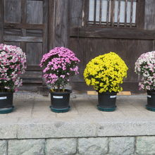 本堂前にありました