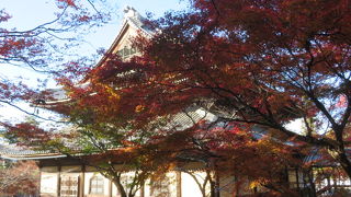 混雑の中紅葉を見てきました