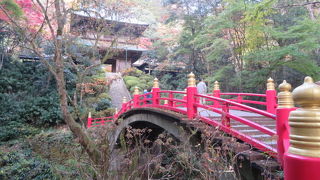 紅葉もいいです