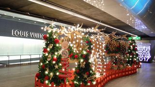 トナカイが登場しました