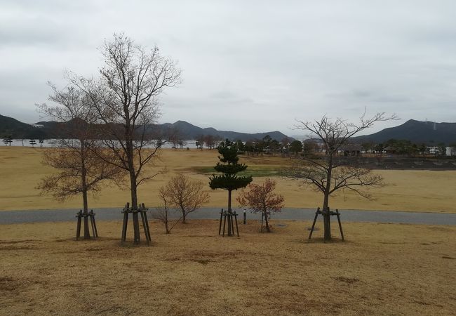 芝生広場がメイン