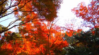奈良公園の近くにありました