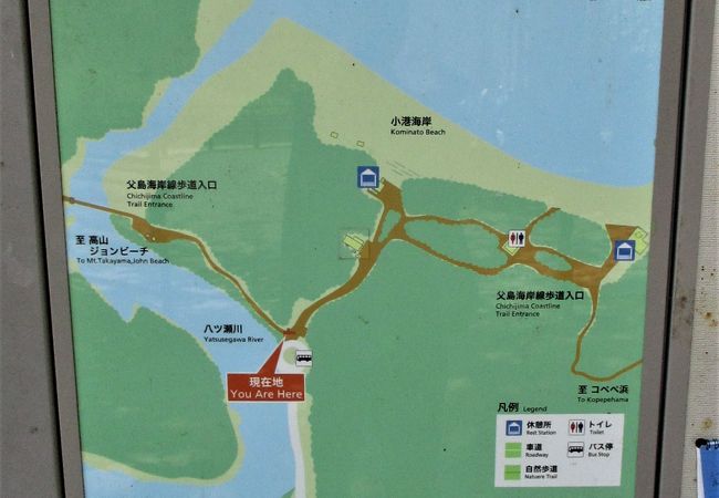 小港海岸を訪れた時に道沿いに流れており、小港海岸へ注いでいる父島唯一の川です。