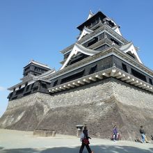 存在感ありすぎです