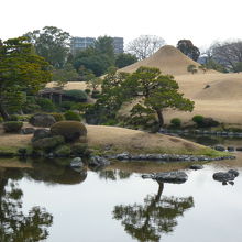 見事な芝生の形
