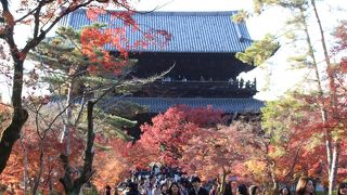 境内は無料です