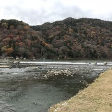 渡月橋の紅葉