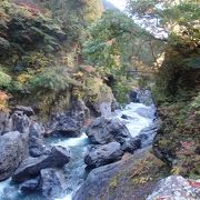 紅葉を見に大多摩ウオーキングトレイルを歩き鳩ノ巣渓谷に行きました