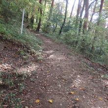 歩き易い少し急な登山道