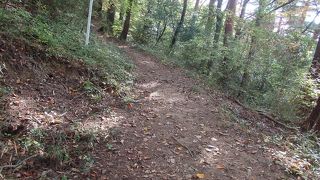 武田神社を見た後、要害山に登りました