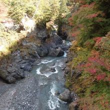 穂との巣小橋からの渓流と紅葉