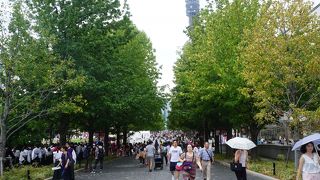 公園を歩くみたいに寛いでいました