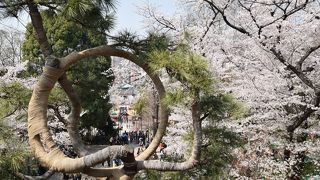 清水の舞台から弁天堂