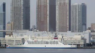 竹芝埠頭は再開発によってホテルやオフィスビル、都立竹芝ふ頭公園を併設した竹芝客船ターミナルが設けられています。