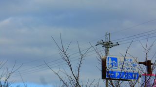 思ったより広かったです