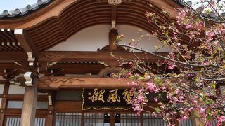 境内に花の咲き誇るお寺