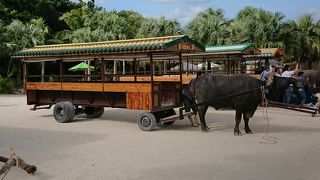 ゆったりゆっくり観光