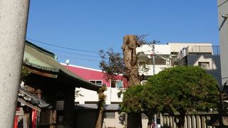 小さな境内の神社です