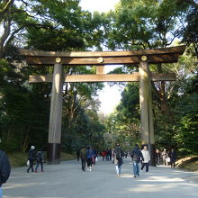 大鳥居と参道