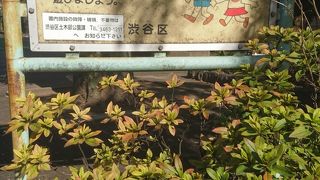 都会のオアシス