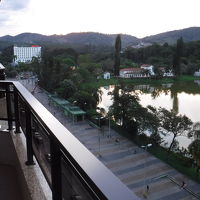 ブラジル人は、環境重視・視界重視。