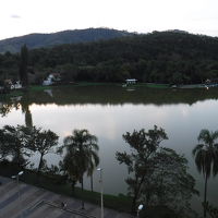 汚い池だけど、なんか風流.....