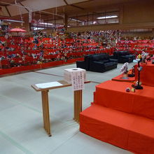 迫力ある雛の数