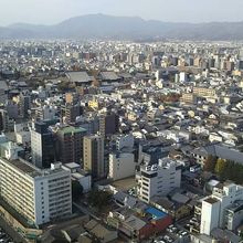 展望台からの景色