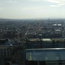 展望台からの景色