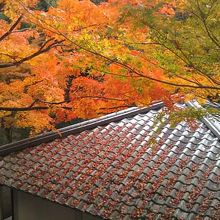 平等院の横の方の景色。とても良い