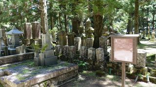 世界遺産の参道