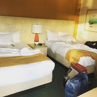 室内こんな感じ