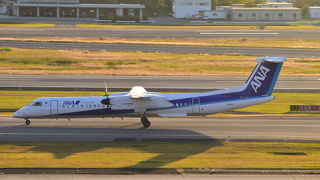 かなりの変貌ぶり