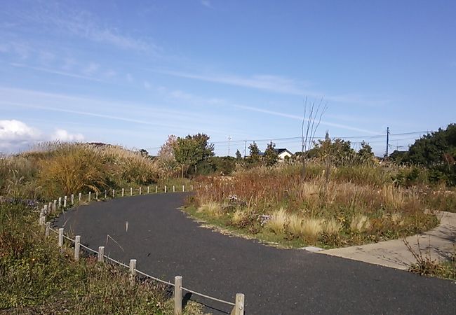 湖山池 クチコミ アクセス 営業時間 鳥取市 フォートラベル
