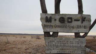 霧多布湿原を突っ切る道