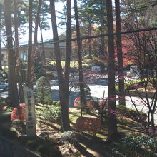 木立の中に在ります～