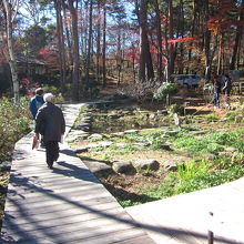 庭園内にはお散歩コースもあります