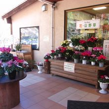 花屋のような店頭です？